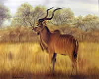 south african artist estelle van schalkwyk paintings