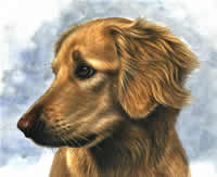 south african artist estelle van schalkwyk paintings