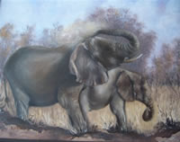nellie visser south african artist oil paintings