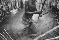 south african artist paul weinberg photography