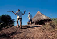 south african artist paul weinberg photography