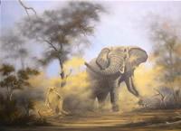 Dane Willers south african artist oil paintings