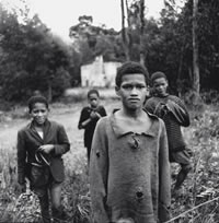 south african artist Paul Alberts