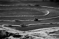 south african artist Paul Alberts