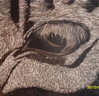 south african artist Sanet Benade