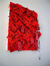 south african artist Carina Claassens