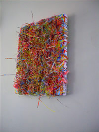 south african artist Carina Claassens