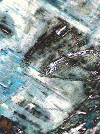 south african artist Arthur Dibden paintings