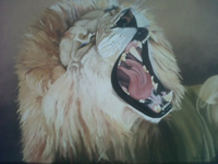 south african artist Erica Yeo