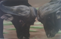 south african artist Erica Yeo