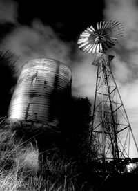 south african artist Brandon Fisher