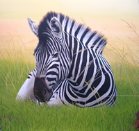 south african artist Tim Glasby