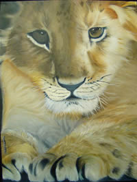 south african artist Pieter Goosen oil paintings