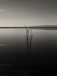 south african artist Katlego Mokubyane