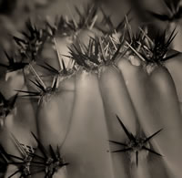 south african artist Katlego Mokubyane