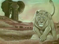 south african artist Japie Kleinhans paintings