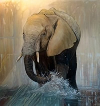 south african artist Sue Maas paintings