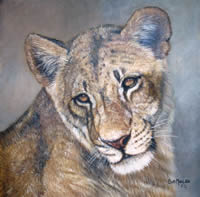 south african artist Sue Maas paintings