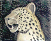 south african artist Lesiba Andries Mokgalaka paintings