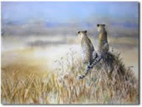 south african artist Debbie Schiff paintings