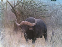 south african artist Mark Schwartz paintings