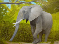 south african artist Paul Sellmann paintings