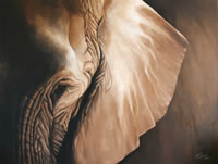 south african artist Solett paintings