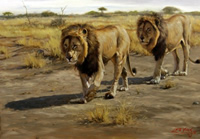 south african artist Lute Vink paintings